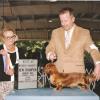 April finishes under breeder judge Carol Spritzer, May, 2009 in Moberly, Mo