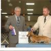 Reserve Winner's Bitch (Major)
Belle City Kennel Club
Belleville, IL, March 2008