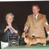 Dekalb Kennel Club
Day 1 - Best of Breed, Best of Winners, Winner's Bitch
Day 2 - Best of Opposite Sex, Best of Winners, Winner's Bitch